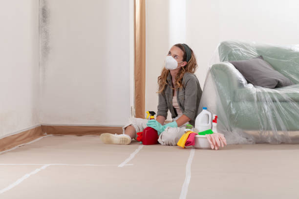 Reliable Mold Remediation contractor in Sanford, FL by 24 Hour Mold Removal